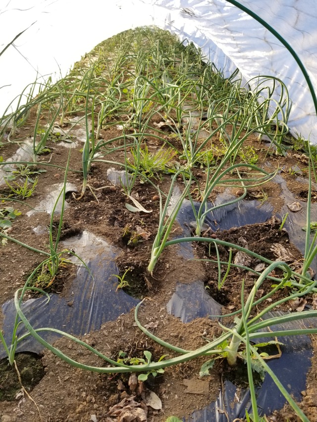 20211220_074815_copy_2268x3024