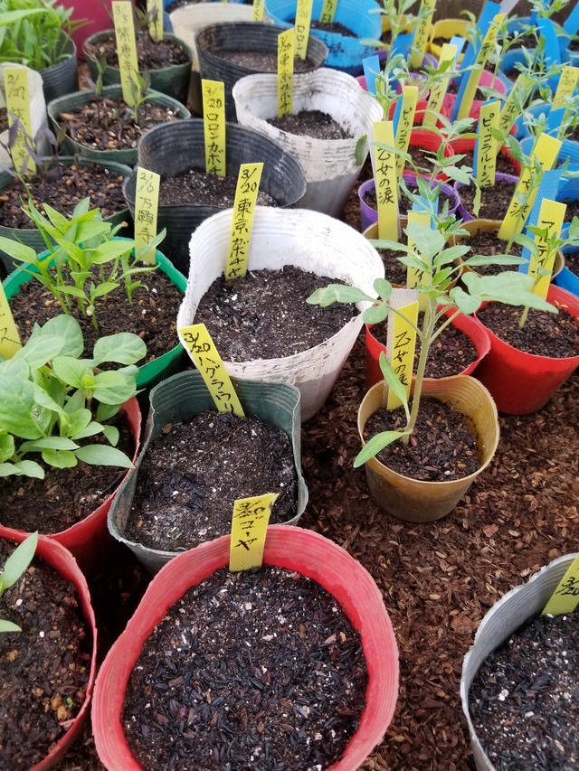 20220322_081041_copy_2268x3024