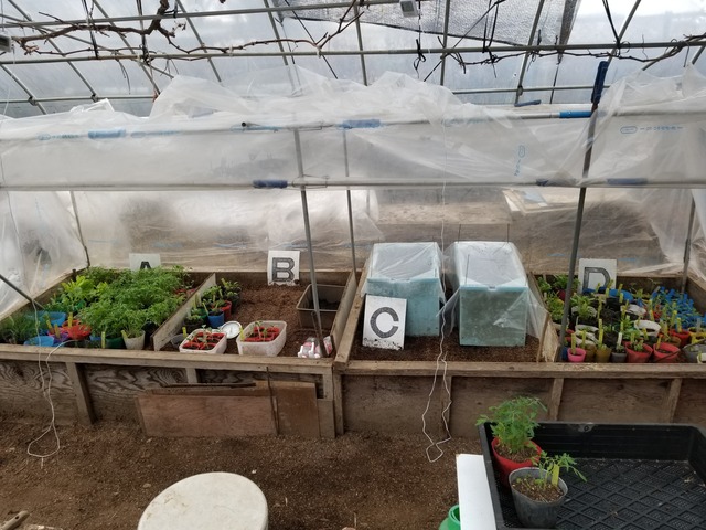 20220322_080643_copy_3024x2268