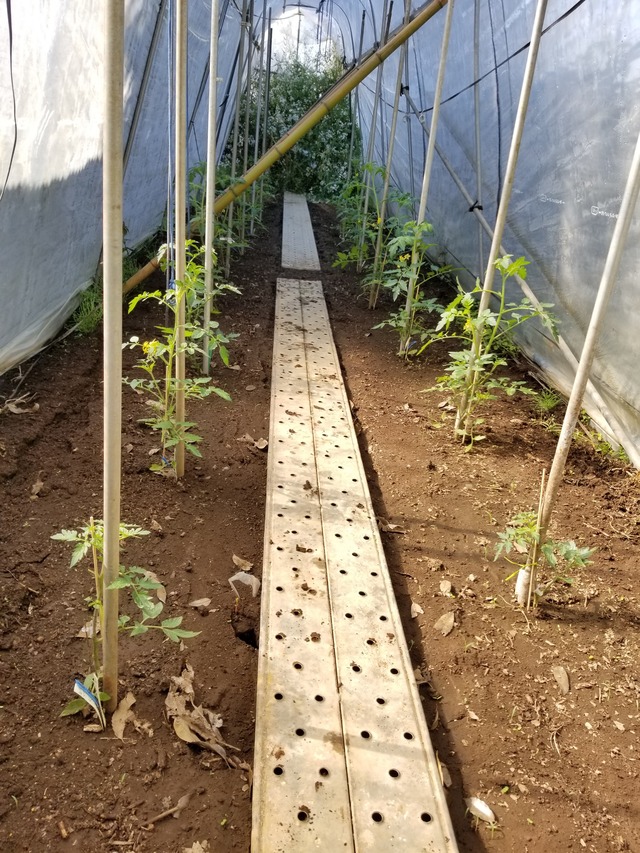 20200507_081112_copy_2268x3024