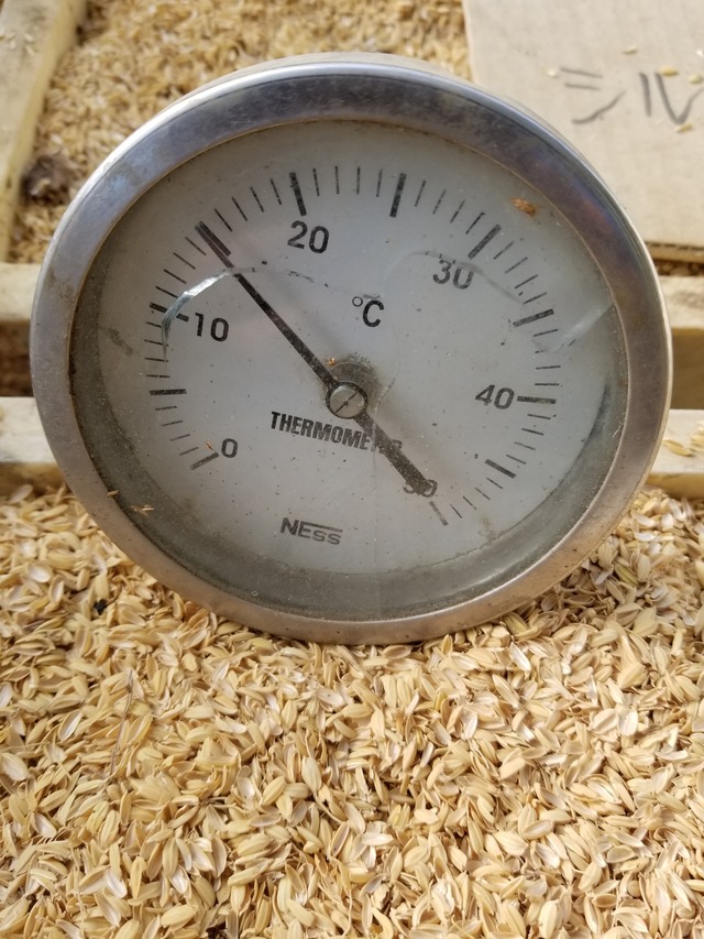 20211029_080808_copy_2268x3024