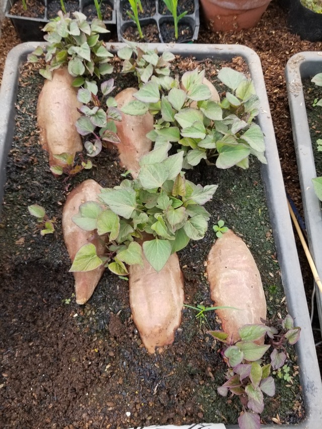 20240326_092512_copy_2268x3024