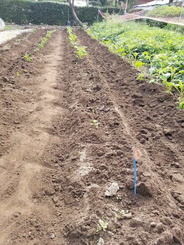 20210917_083501_copy_2268x3024