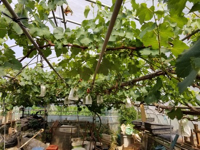 20190617_090033-2160x1620