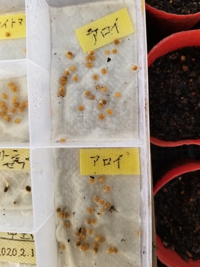 20200205_080836-2268x3024