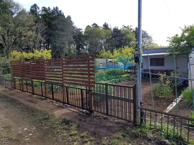 20200424_084247_copy_2268x1701