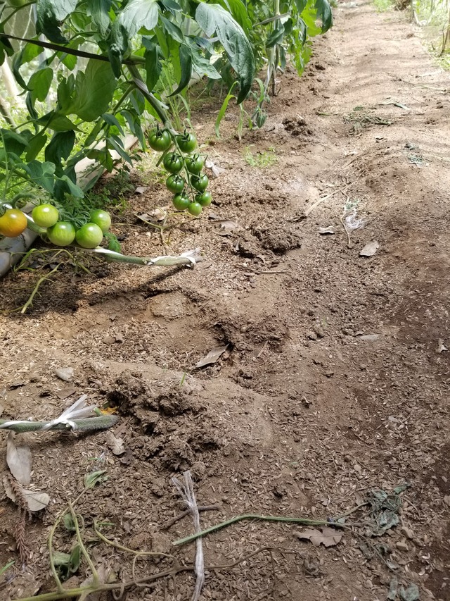 20230616_135339_copy_1512x2016