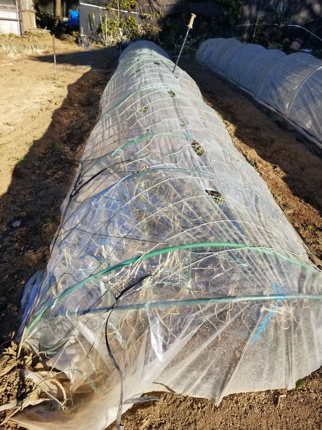 20230110_083508_copy_1512x2016