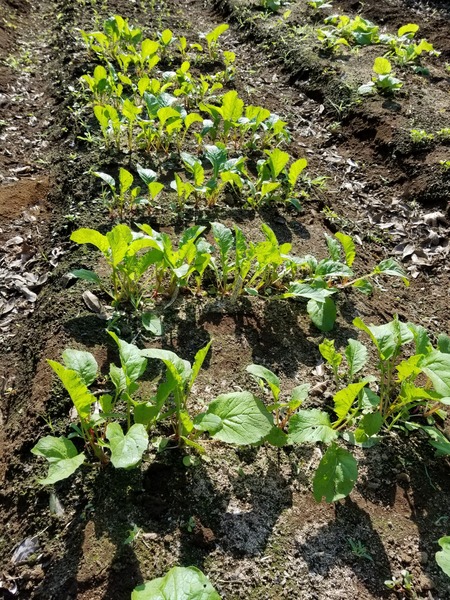 20190927_084226-1620x2160