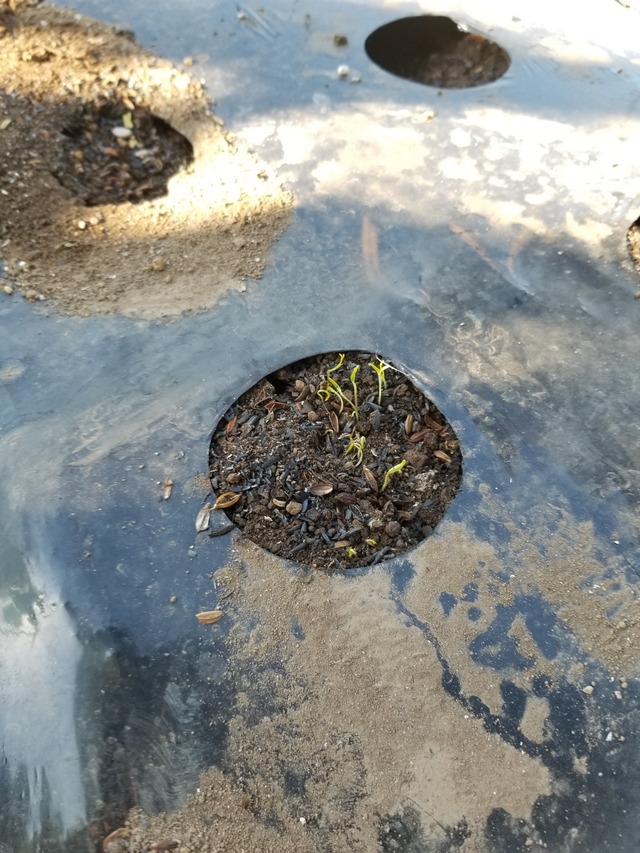 20230826_071345_copy_1512x2016