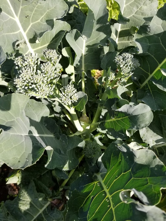 20191115_085854-1620x2160