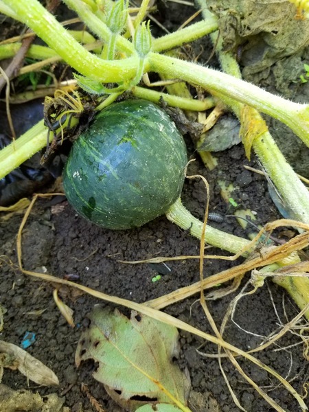 20190925_082410-1620x2160