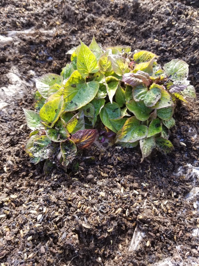 20230311_143309_copy_1209x1612