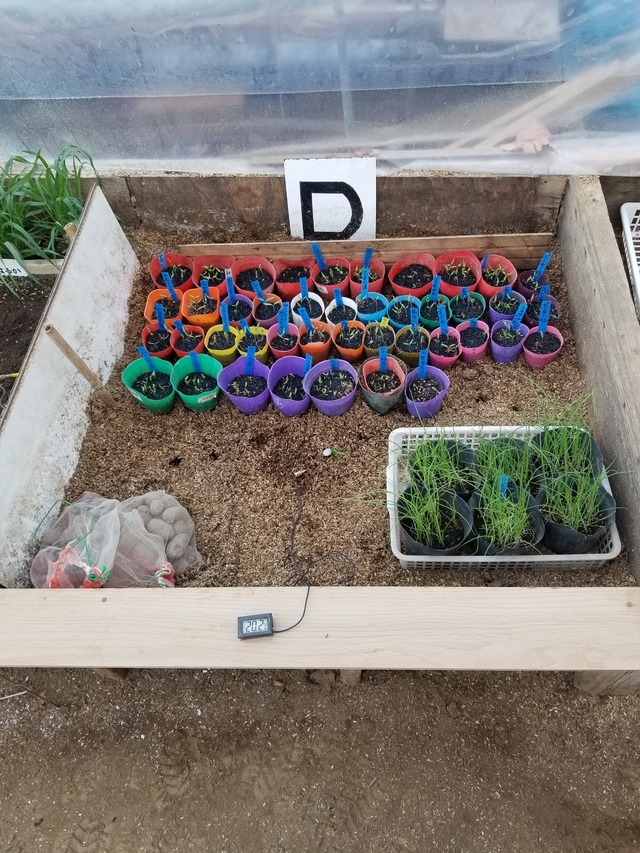 20240214_101718_copy_2268x3024