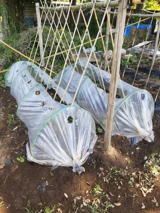 20230510_085001_copy_1512x2016