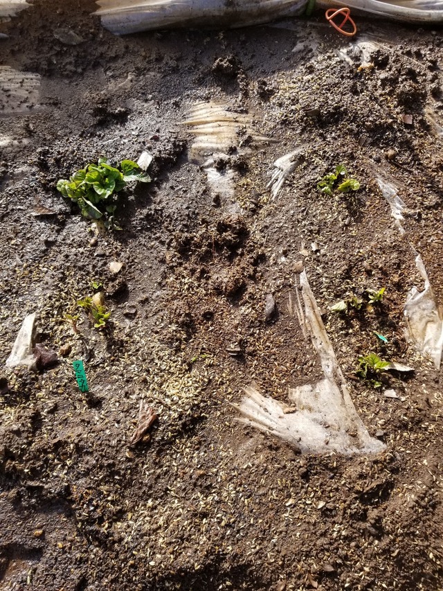 20230311_151142_copy_1209x1612