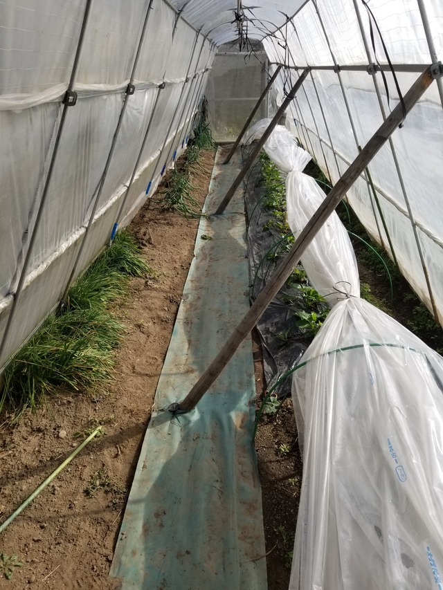 20231122_104341_copy_1512x2016