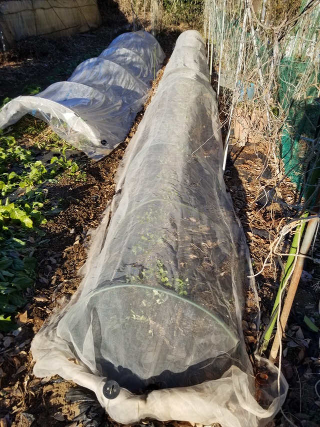 20220119_081345_copy_2268x3024