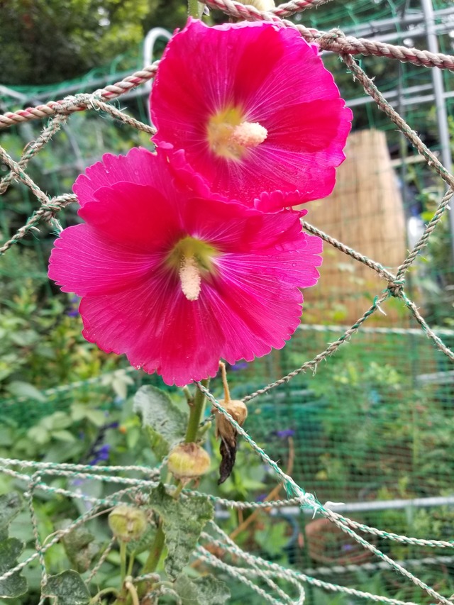 20200715_173216_copy_2268x3024