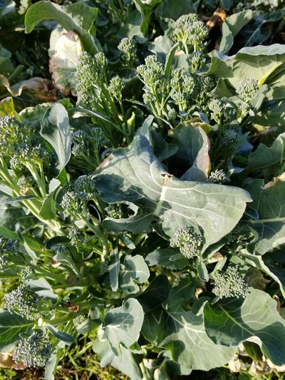 20200220_085328-2268x3024