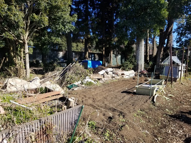 20221225_101217_copy_3024x2268_1