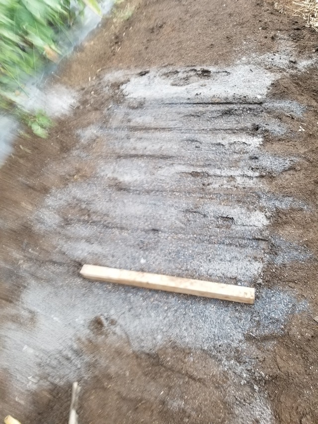 20230801_145545_copy_1512x2016