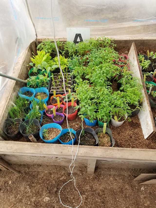 20220322_080700_copy_2268x3024