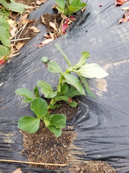 20191222_143126-2268x3024