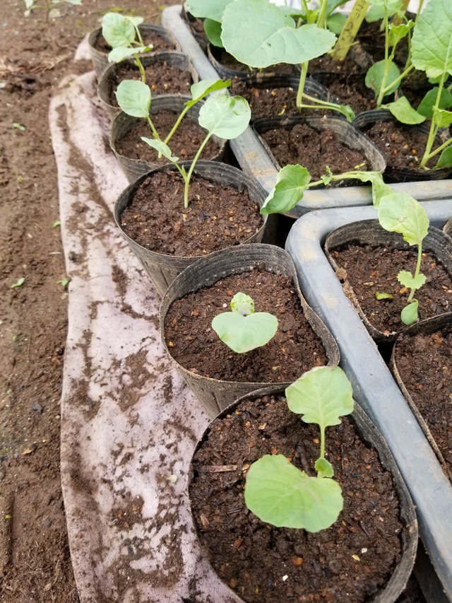 20210906_091100_copy_2268x3024