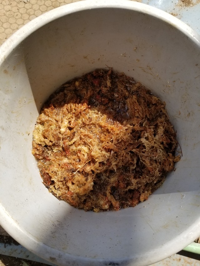 20230821_100719_copy_1512x2016