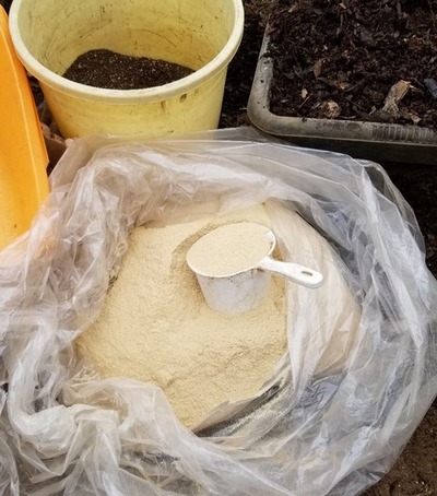 20190330_091029-1024x1365