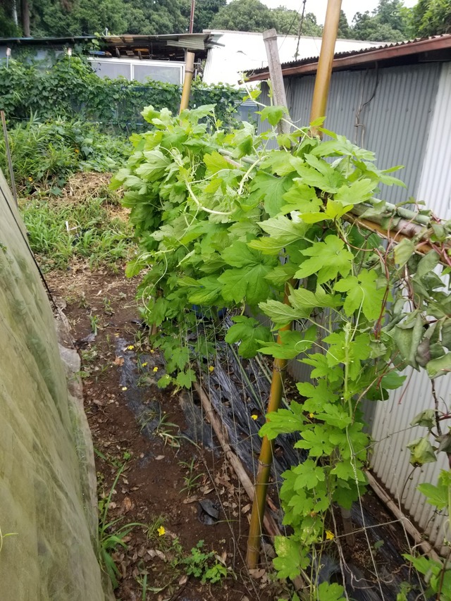 20220726_144942_copy_1512x2016