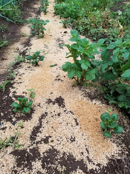 20191022_151622-1620x2160