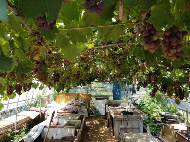 20230728_110318_copy_2016x1512