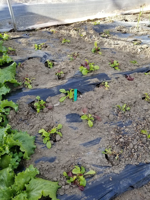 20230104_084737_copy_2268x3024