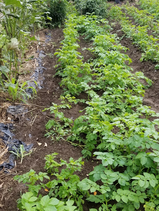 20201019_082741_copy_2268x3024