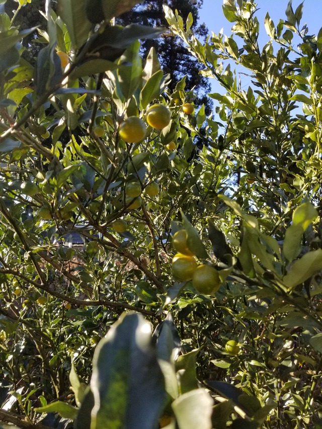 20221229_092137_copy_2268x3024