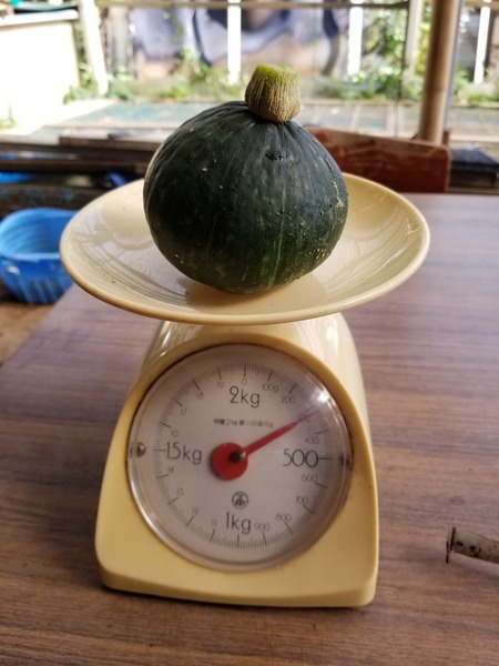 20190925_082833-1620x2160