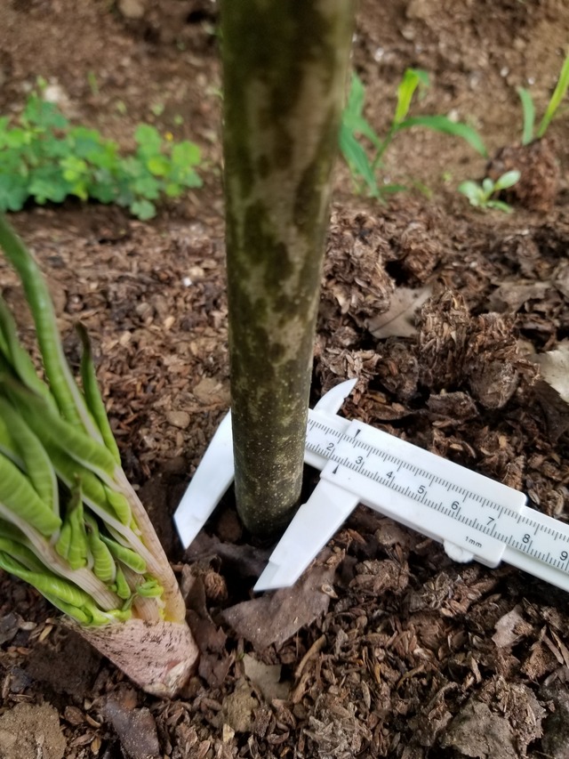 20210803_075415_copy_2268x3024