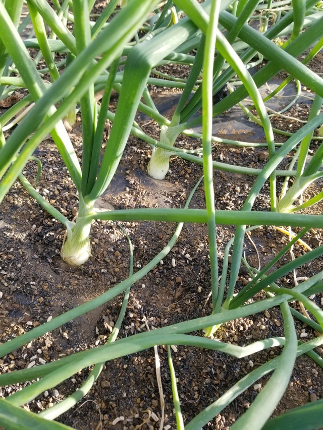 20231210_145611_copy_1512x2016