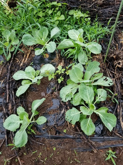 20190624_091920-1620x2160