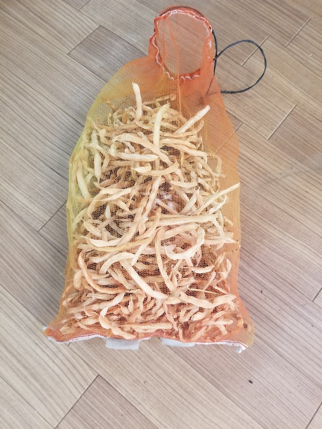 20230725_151722_copy_1512x2016