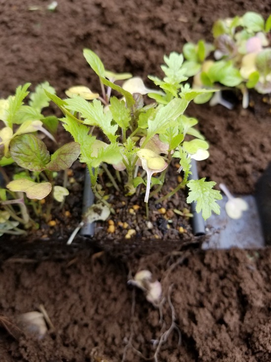 20191018_082952-1620x2160