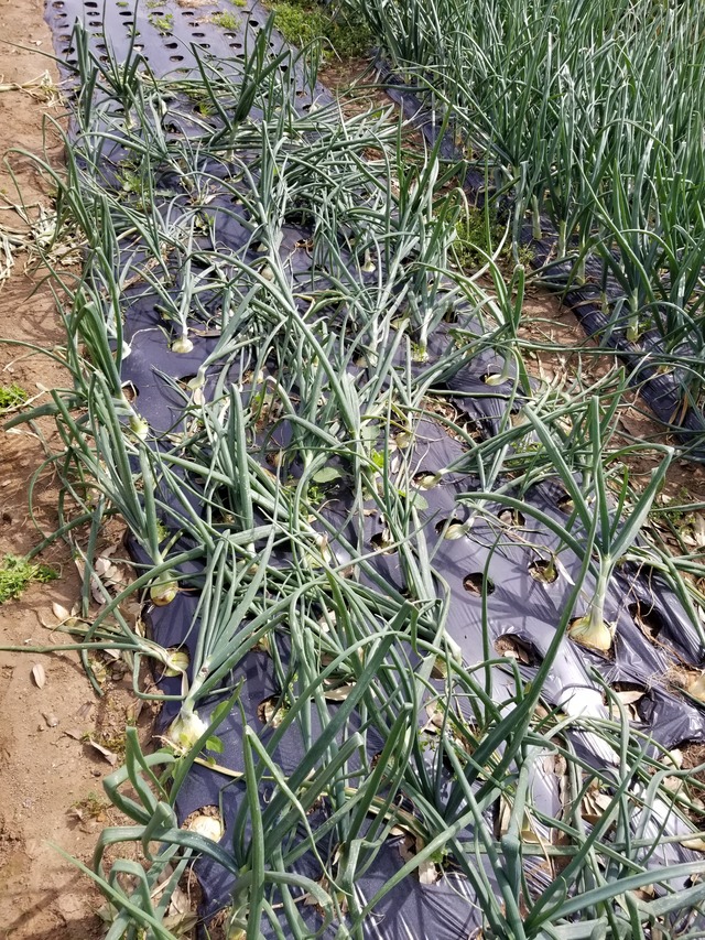 20210424_141548_copy_2268x3024