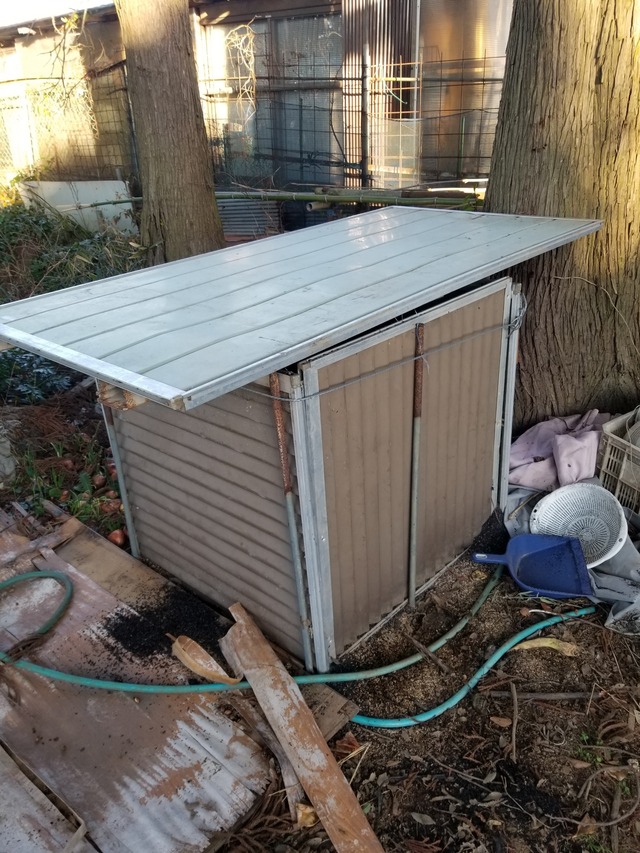 20211223_075053_copy_2268x3024