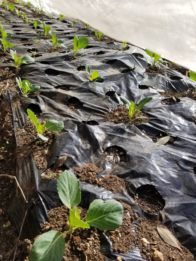 20231217_094812_copy_1512x2016