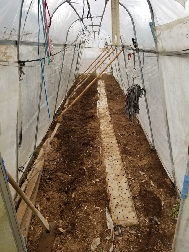 20210413_073920_copy_2268x3024