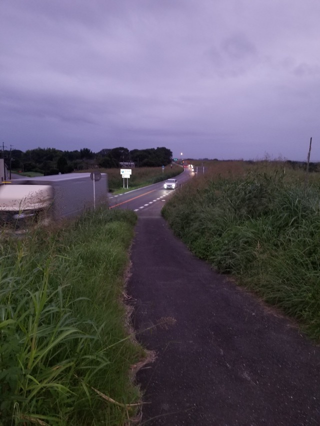 20220915_051602_copy_2268x3024