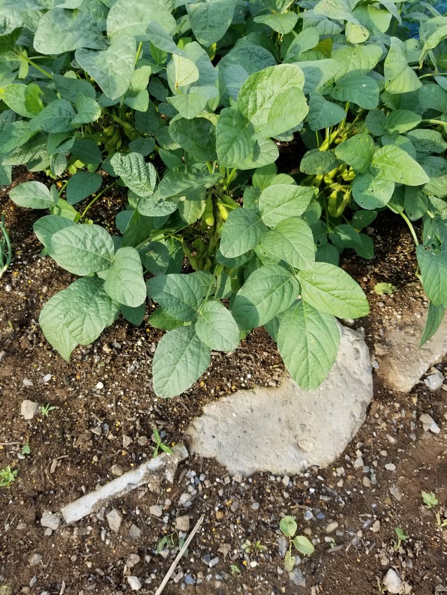20210715_172818_copy_2268x3024