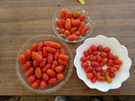 20190804_152151-1620x2160